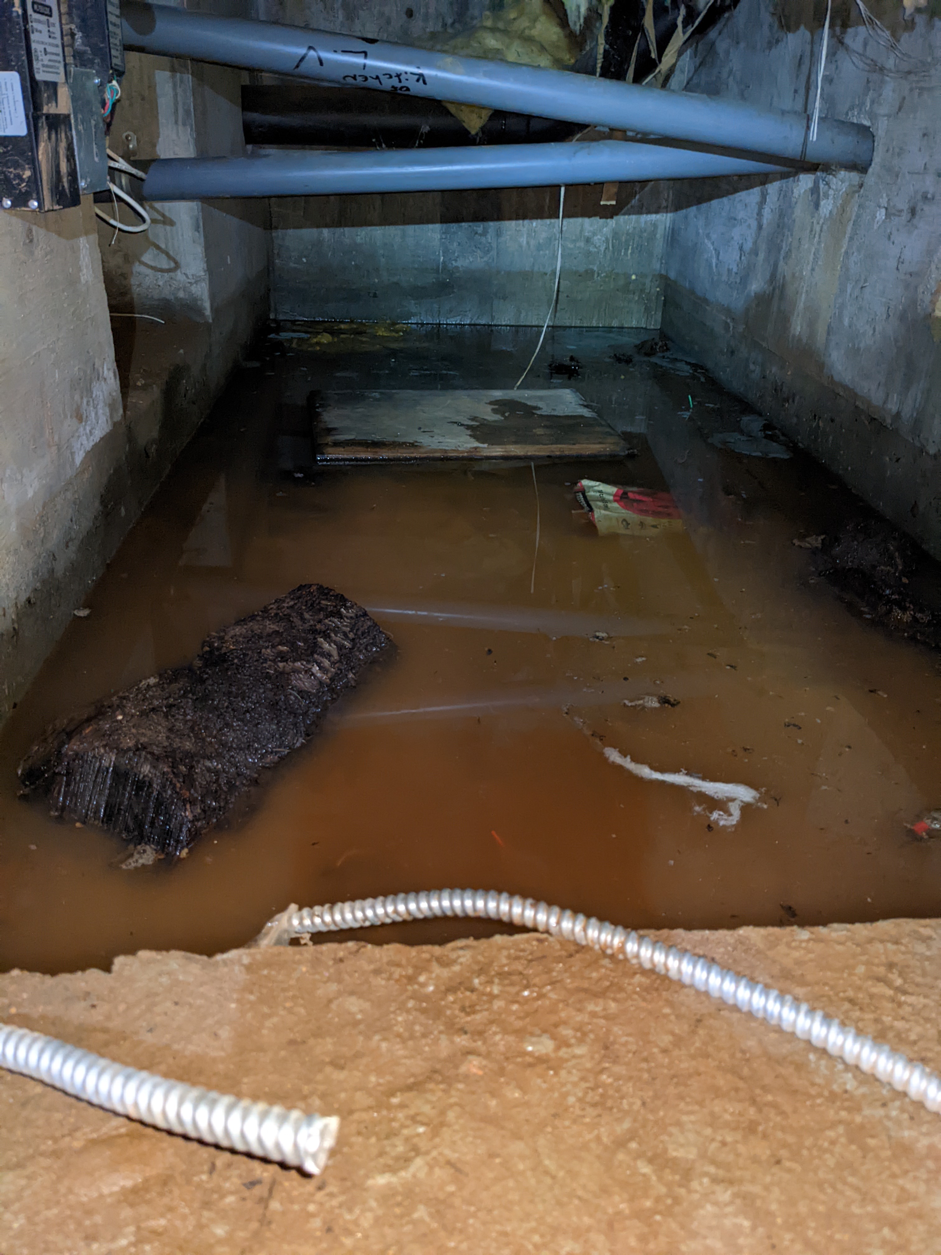 Professional water damage restoration team at work