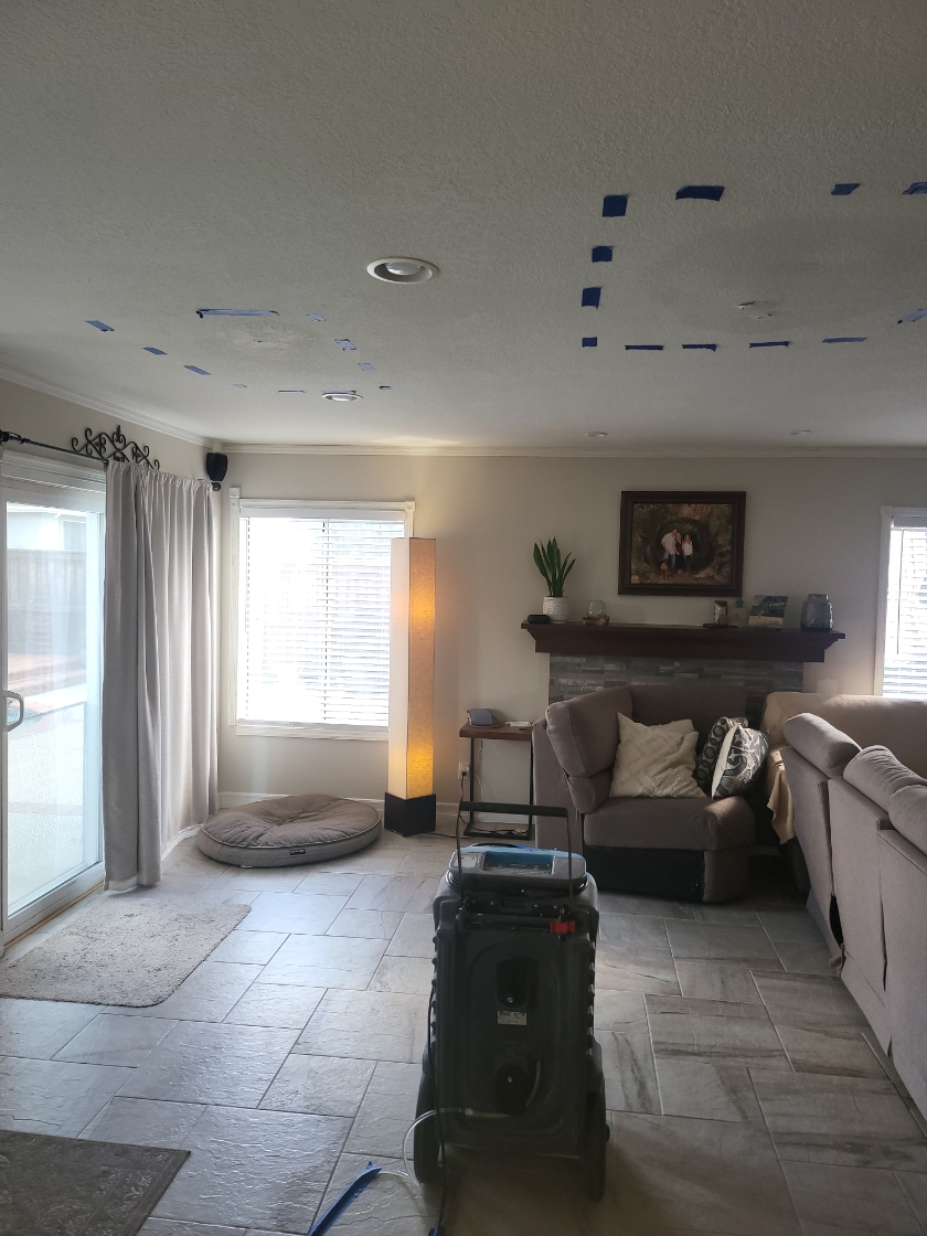 Water damage assessment and documentation